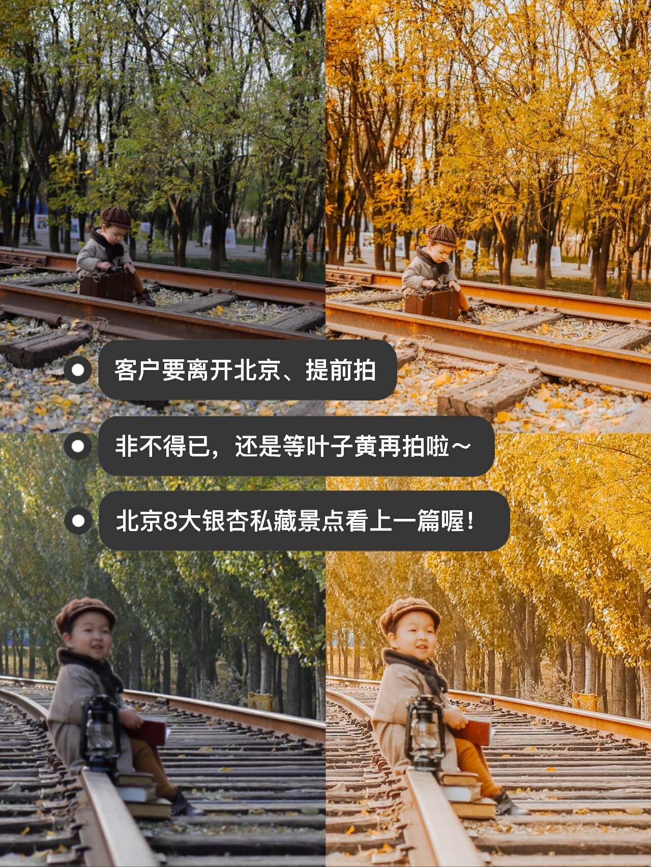 lr苹果版hsllightroom永久免费版