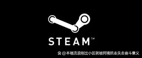 安卓版steam打不开手机版steam怎么打不开