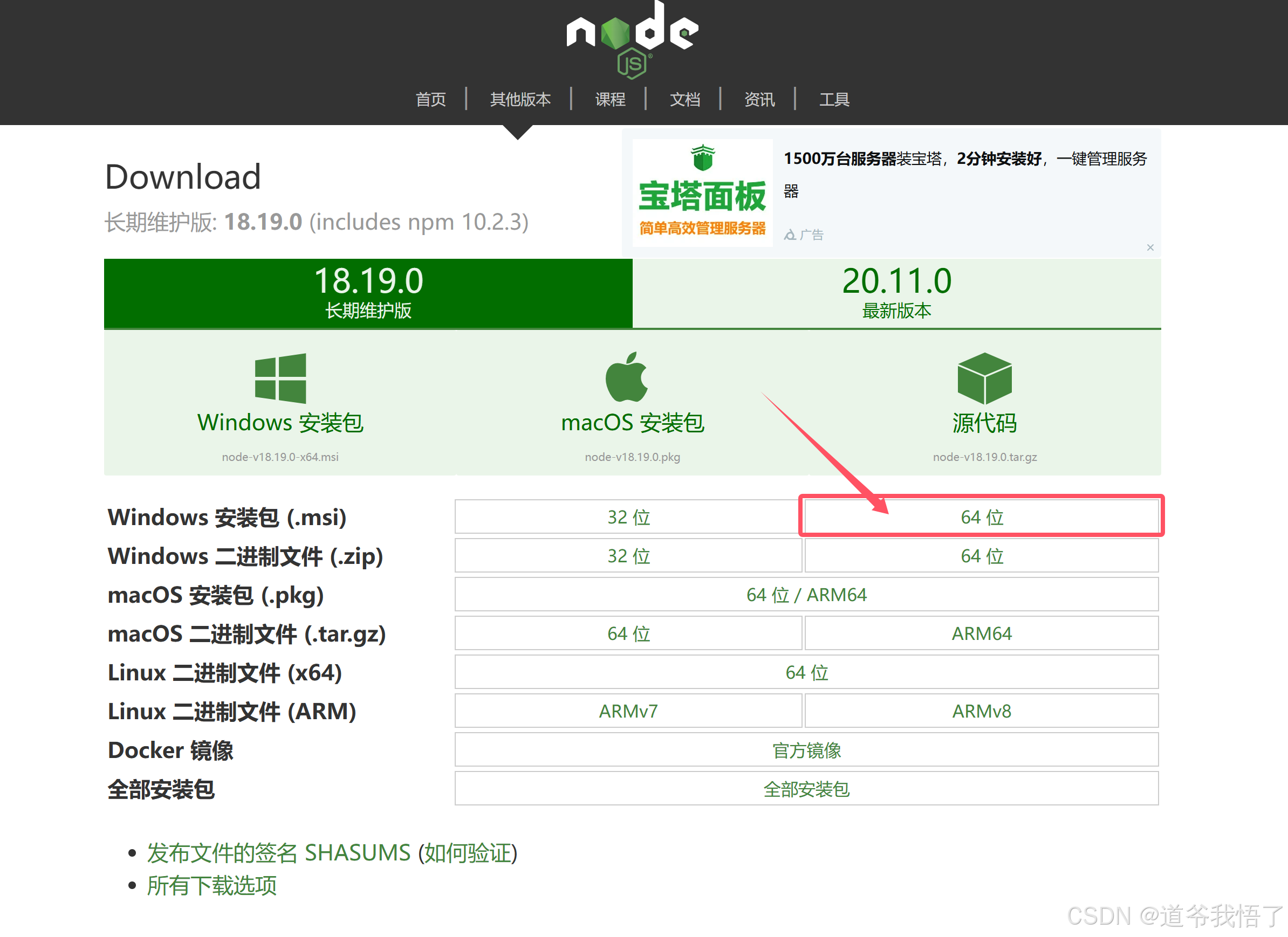 nodess客户端nodejs官网下载安装-第2张图片-太平洋在线下载